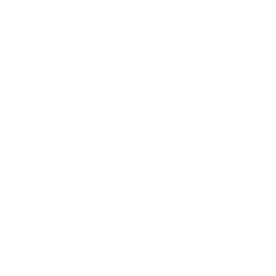 RV van icon